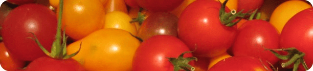 graphics/IMG_5336_crop.png